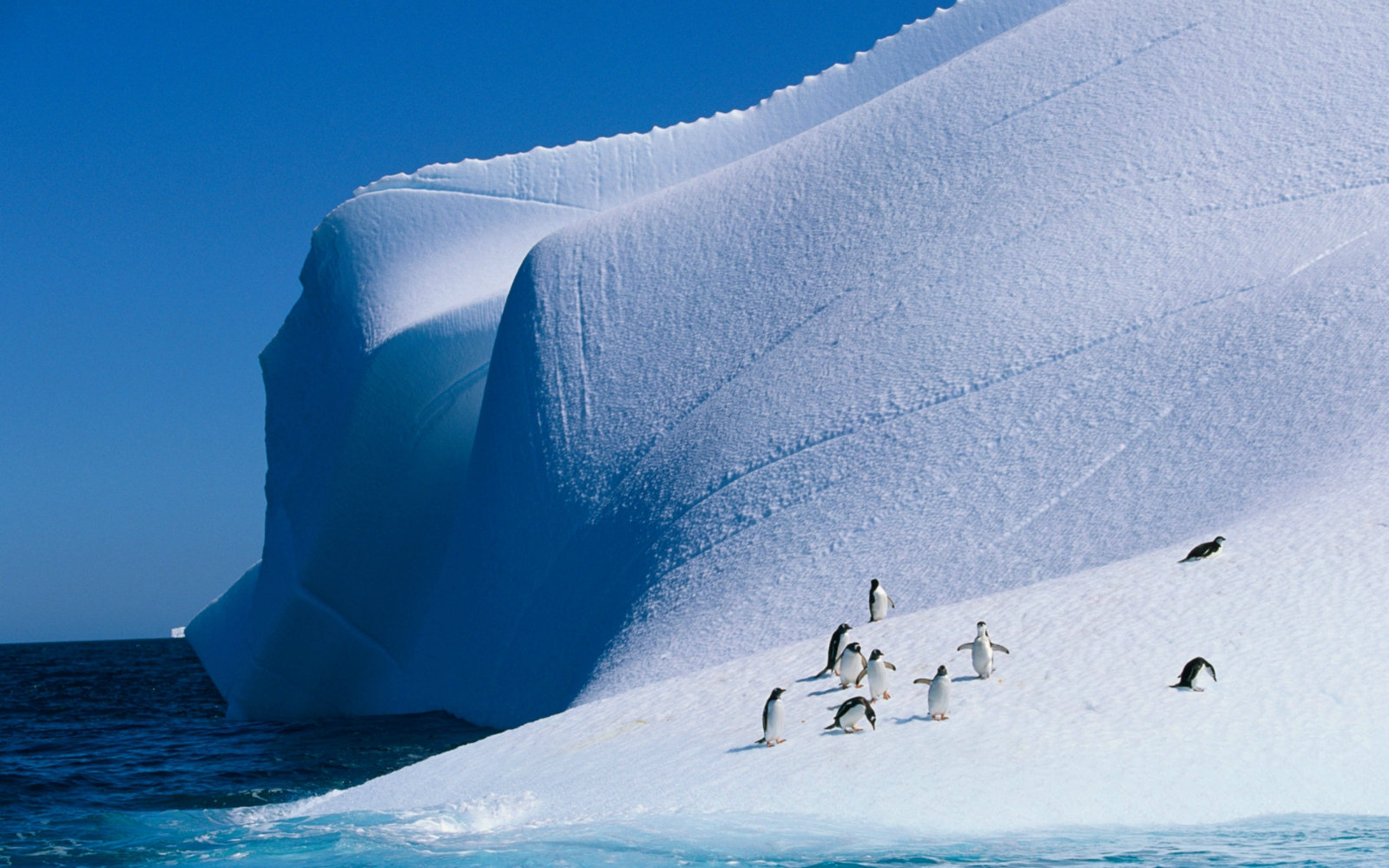 世界尽头的仙境 探秘南极